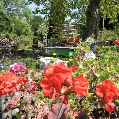 191100730 2192821814186553 7280942094360680456 n