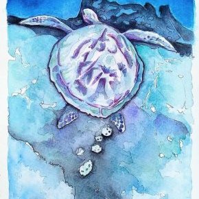 Aquarelle 21/31