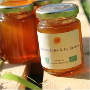 Gelee Pissenlit 1 e1569420518988