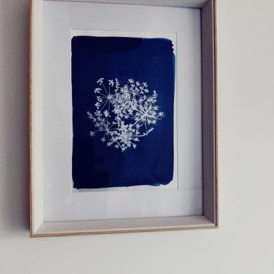 5 100 rond achille fleur lartelierdescuriosites atelier papier cyanotype (…)