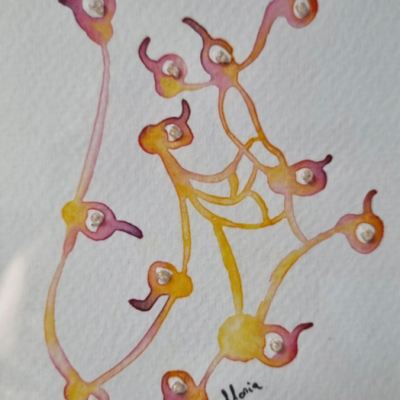 Graines de lumière (série)