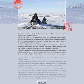 2 Catalogue artistes en Arctique