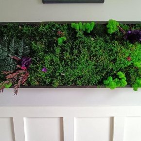 IMG 20230310 184845 ConvertImage