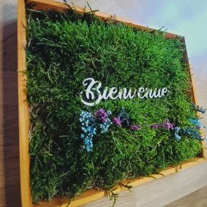 IMG 20231124 123853 ConvertImage