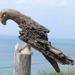 balbuzard pêcheur