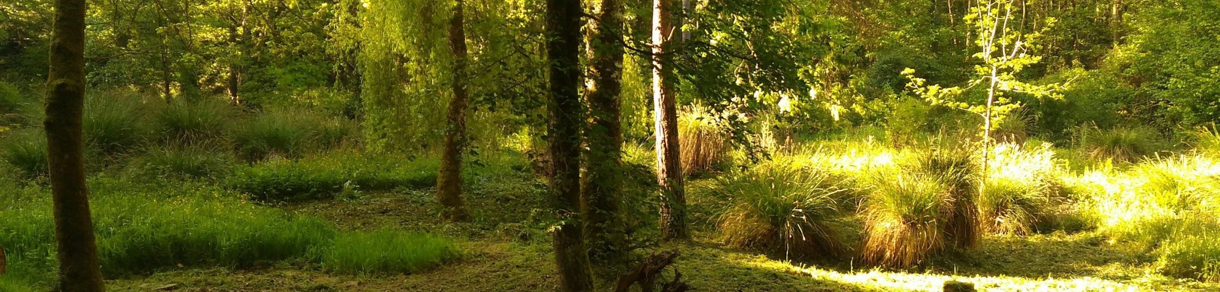 P 20180520 091040 1 p 2