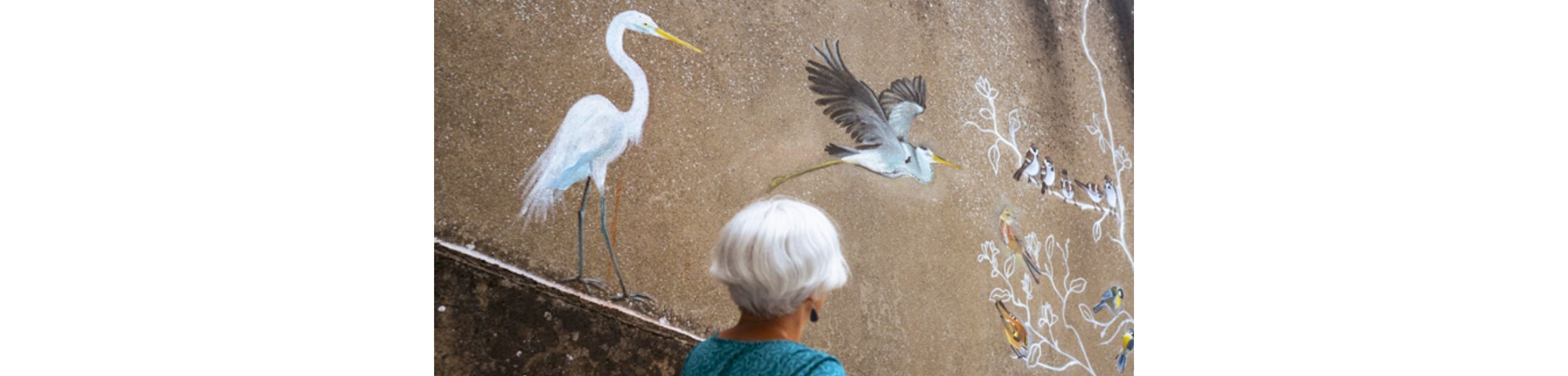 La vie révée des oiseaux