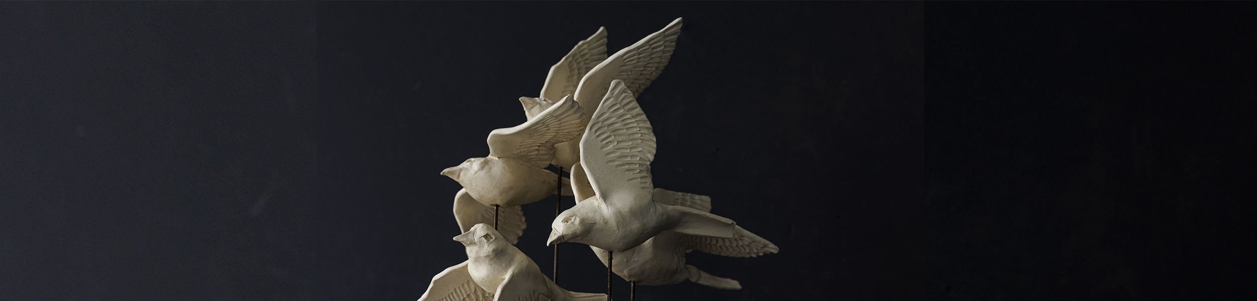 oiseaux