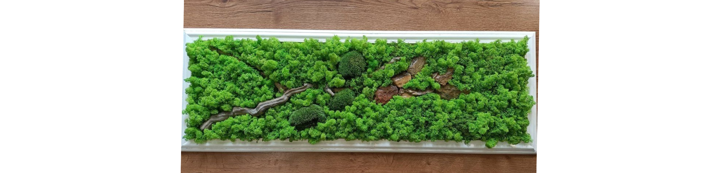 aurelie blanz gmail com 1