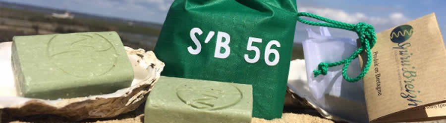 bandeau_d_entete_spirubreizh